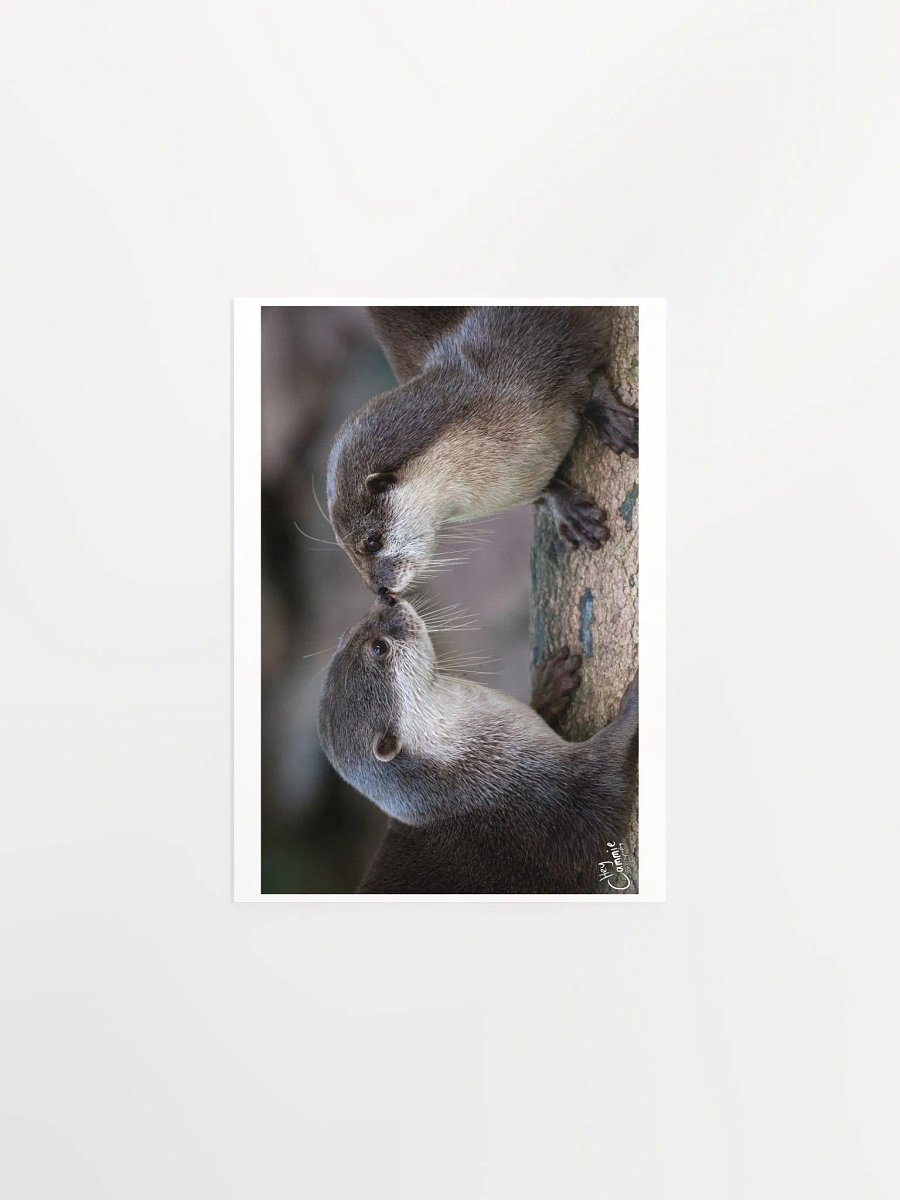 Otters Kiss - Print product image (1)