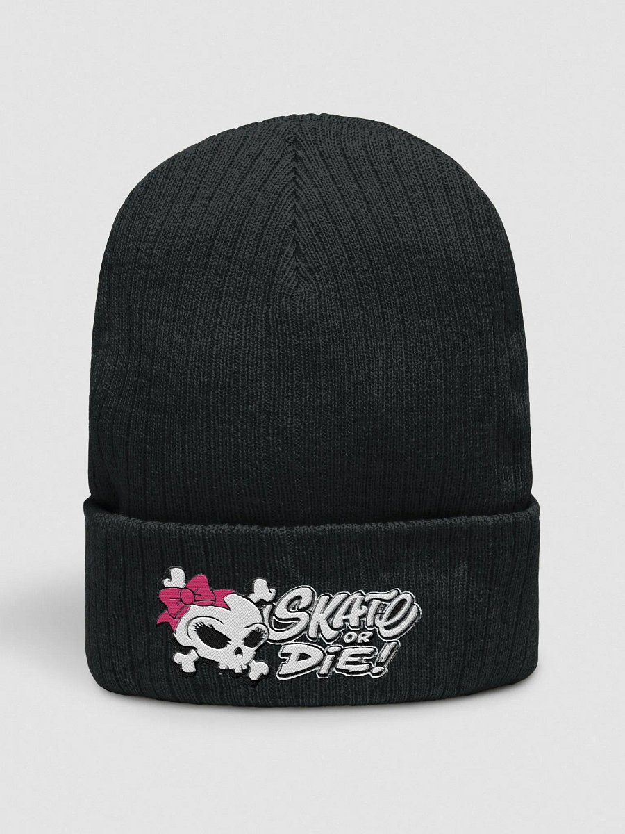 Skate Or Die! Beanie Womens product image (1)
