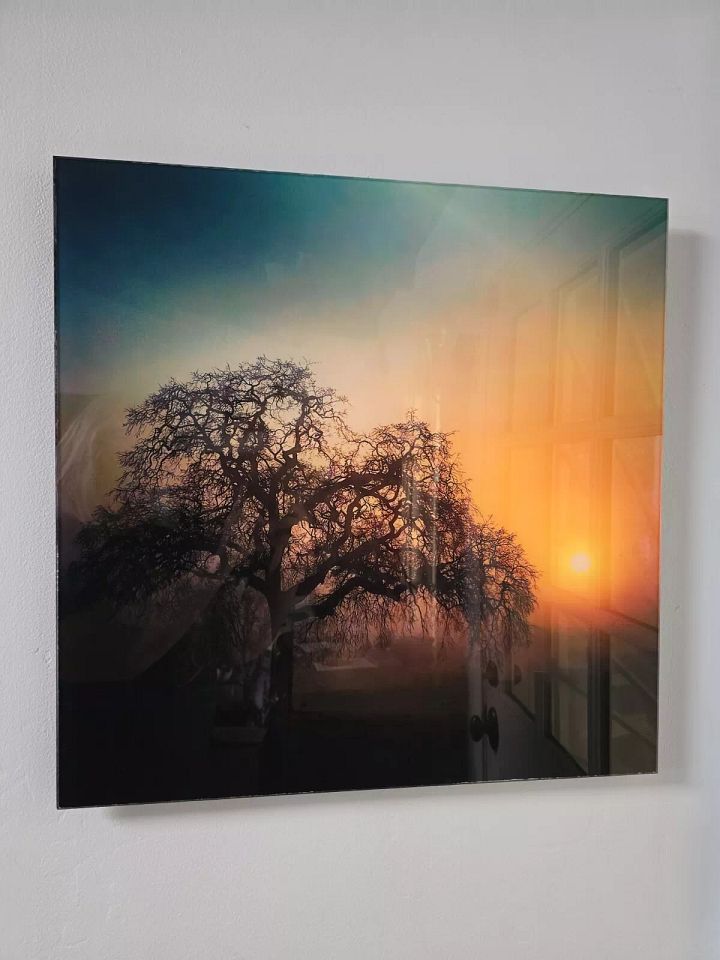 Foggy Oak Giclee Photograph archival ink print on 1/4" Acrylic-Allison McFarland product image (1)