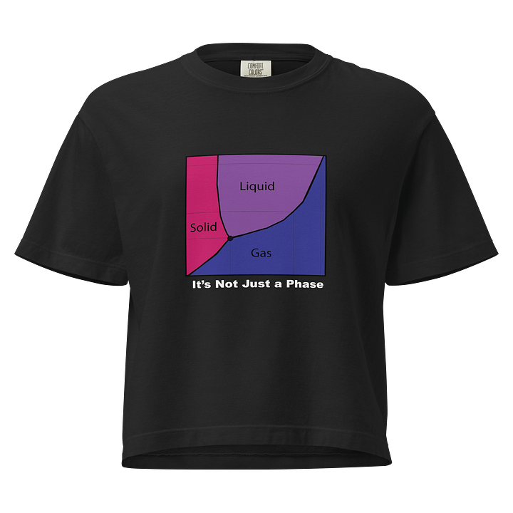 It's Not Just a Phase- Bi Shirt product image (1)