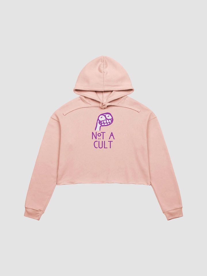 Not a Cult Crop Hoodie product image (2)