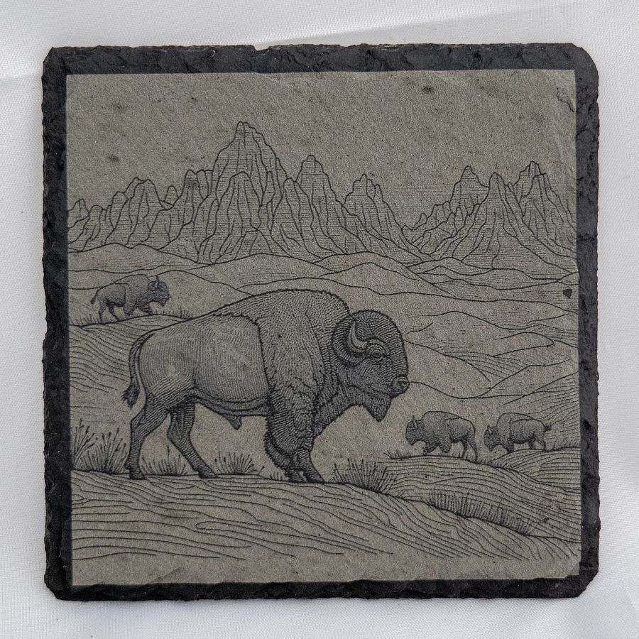 Badlands Buffalo product image (1)