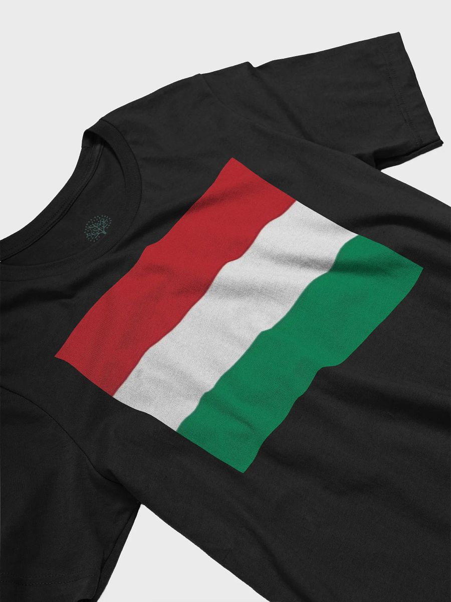 Exclusive Supersoft Unisex Hungary Flag Graphic Tee by Graphic Grove product image (5)