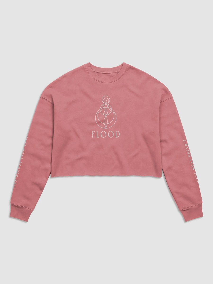 Flood Yoga Crop Top Longsleeve product image (2)