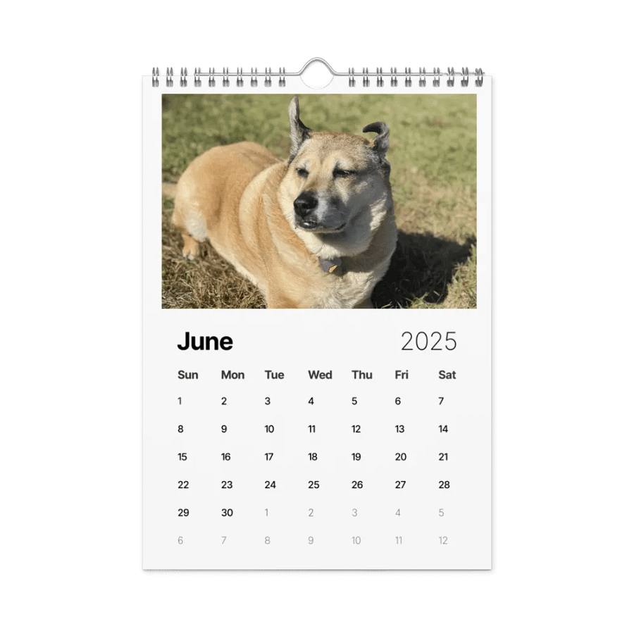 2025 Doggo Calendar product image (8)