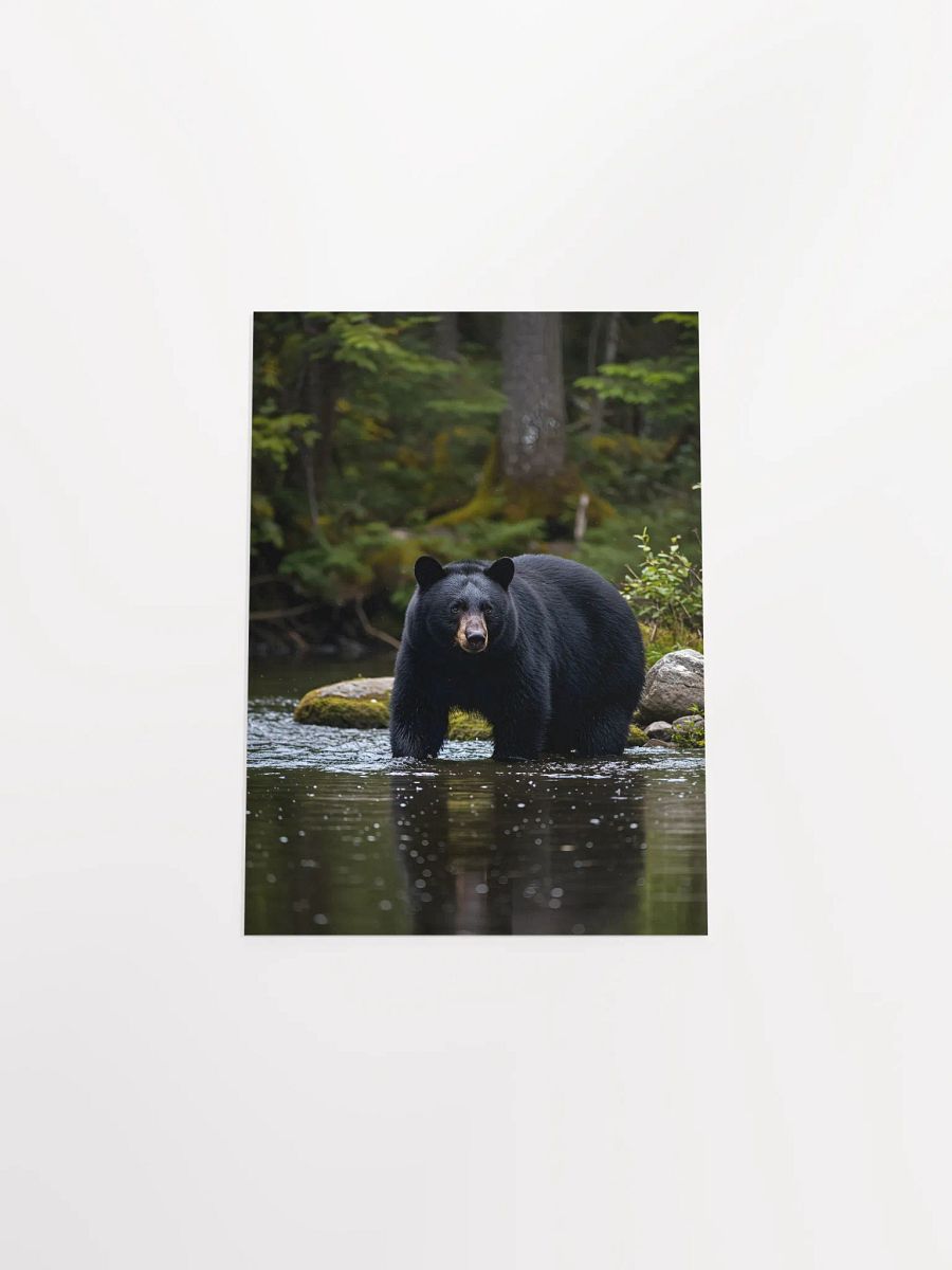 Smoky Mountain Black Bear Cove Poster product image (20)