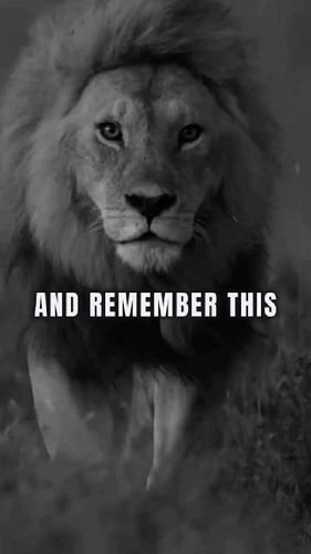 And remember this…

#motivation #motivational #quotes #motivationalquotes #uk #foryou #successmindset #mindsetmatters #god #g...