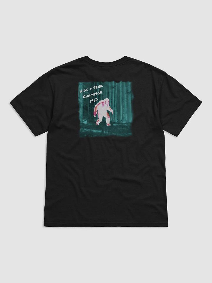 Hide & Seek Champ. product image (2)