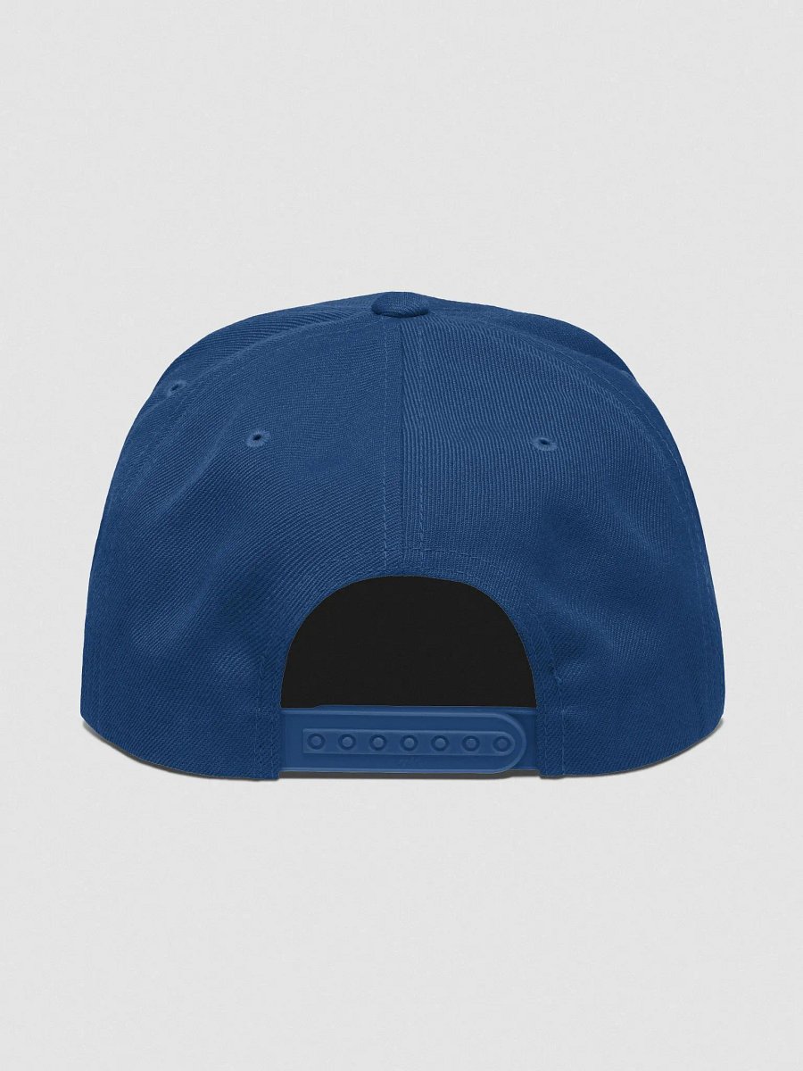 Snapback Hat product image (4)