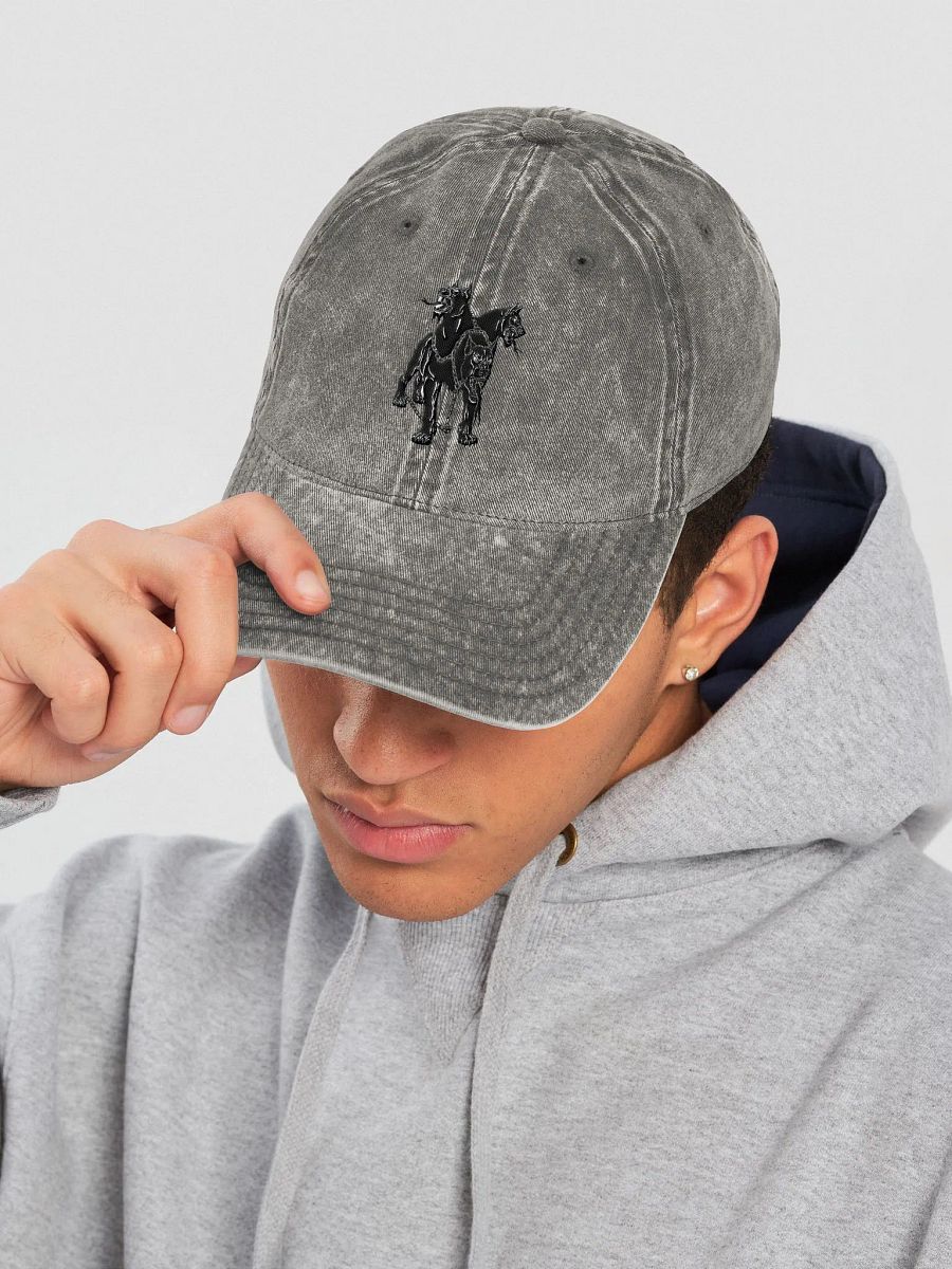 MONSTER series Adjustable Washed Hat w/ Embroidered Design - Cerberus product image (7)