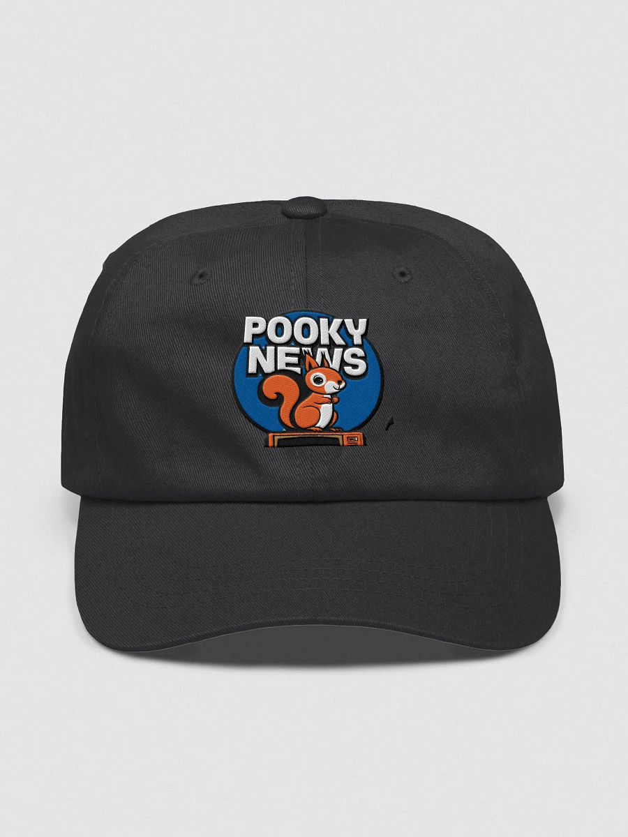 Baseball Hat Embroidered: Pooky News product image (1)