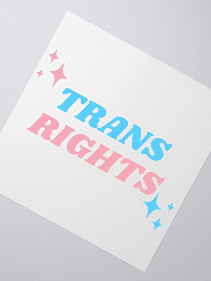 Trans Rights Sticker product image (2)