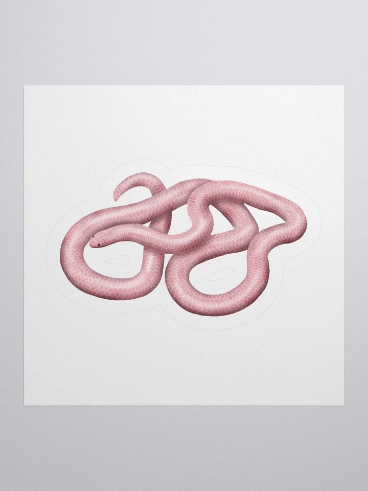 Die-Cut Sticker – Western Threadsnake product image (1)