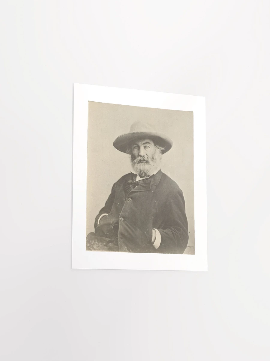 Walt Whitman By Mathew Brady? (c. 1870) - Print product image (3)