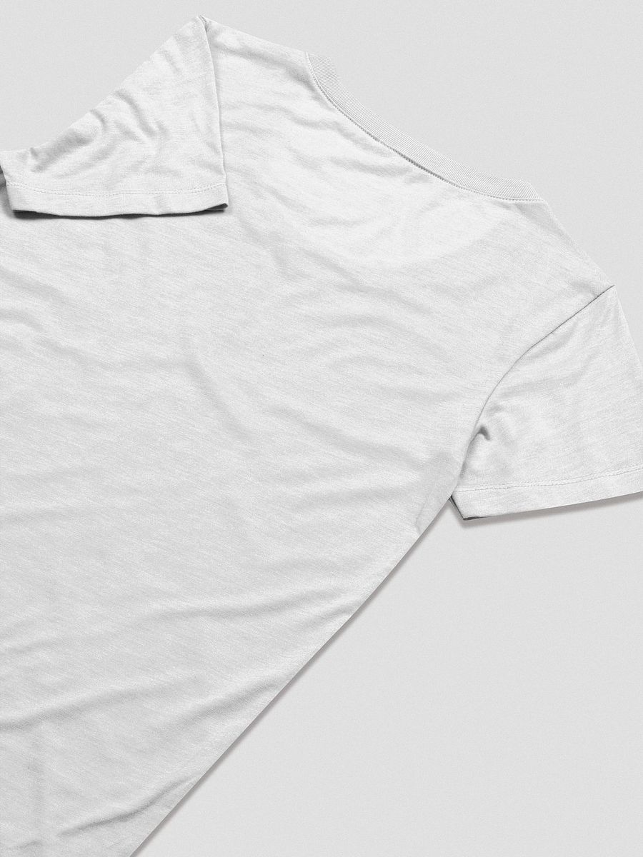 Vintage University T-Shirt (Women's Triblend) product image (7)