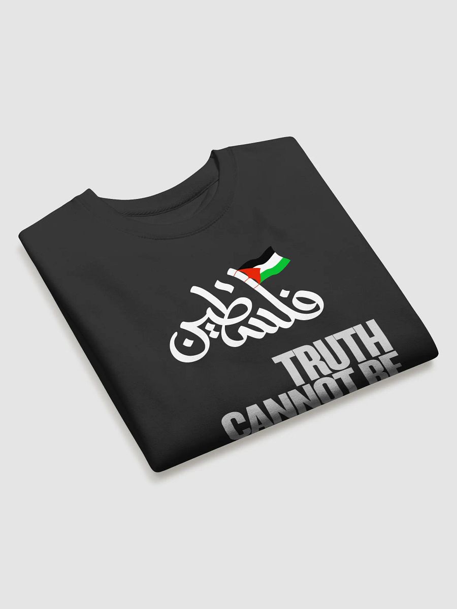 Palestinian Truth Statement Sweatshirt | Truth cannot be hidden product image (14)