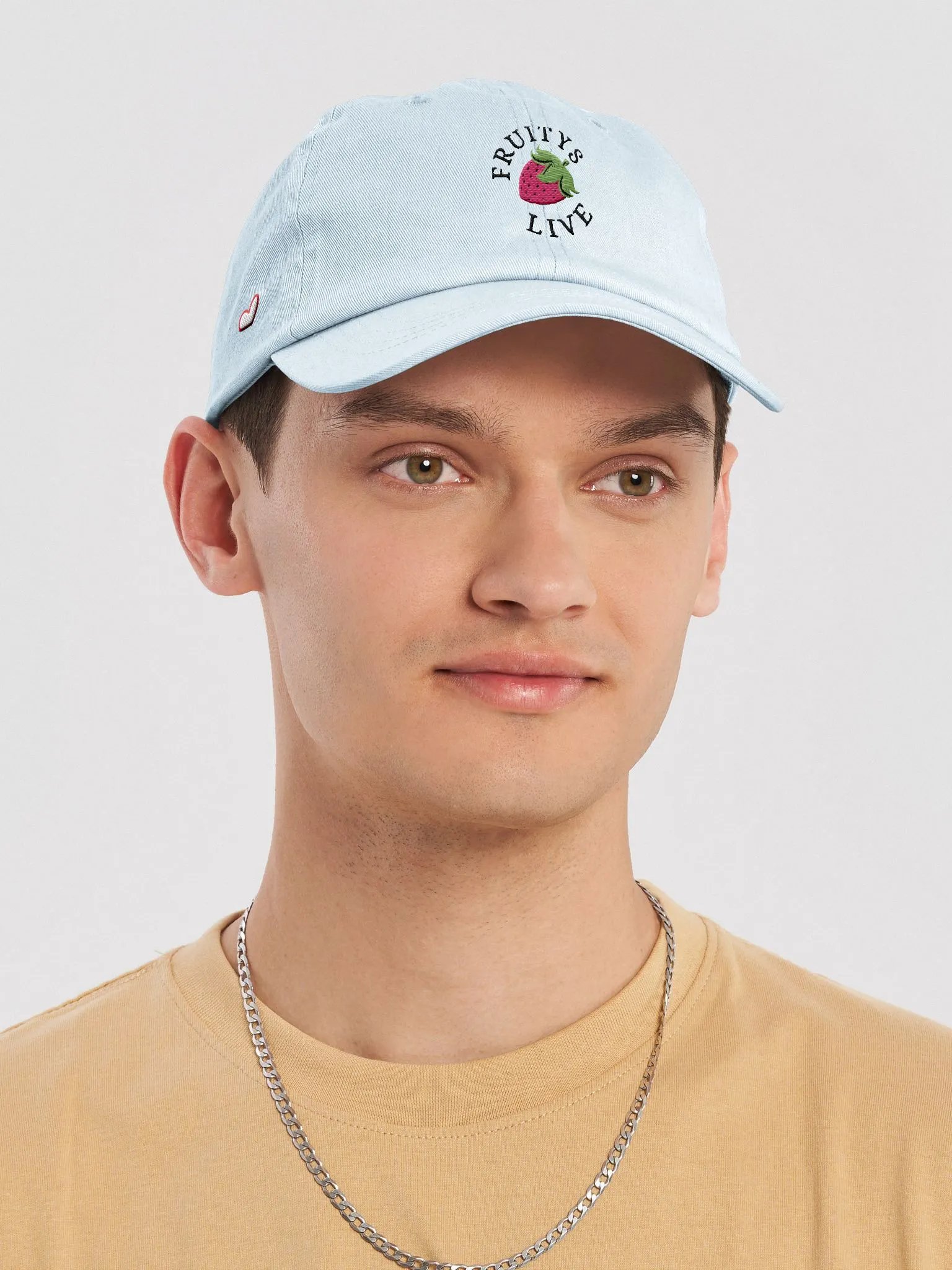 The daddy fruity Retro Dad Hat product image (1)