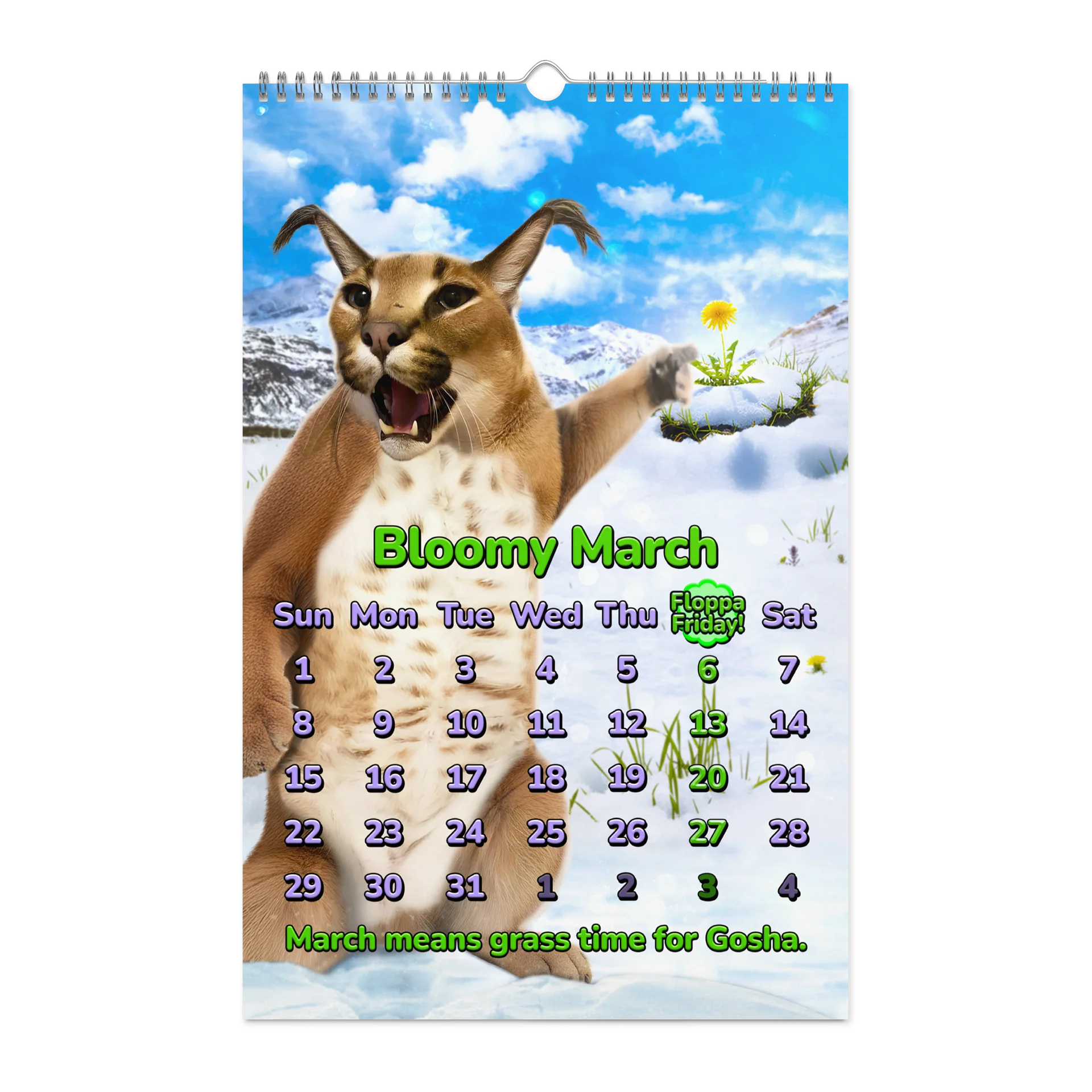 BIG CARACALENDAR 2026 (Limited Edition) product image (9)