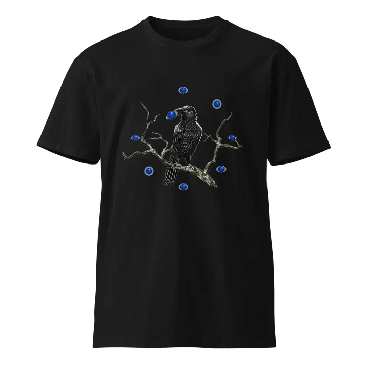 Raven Steals Saturn product image (1)