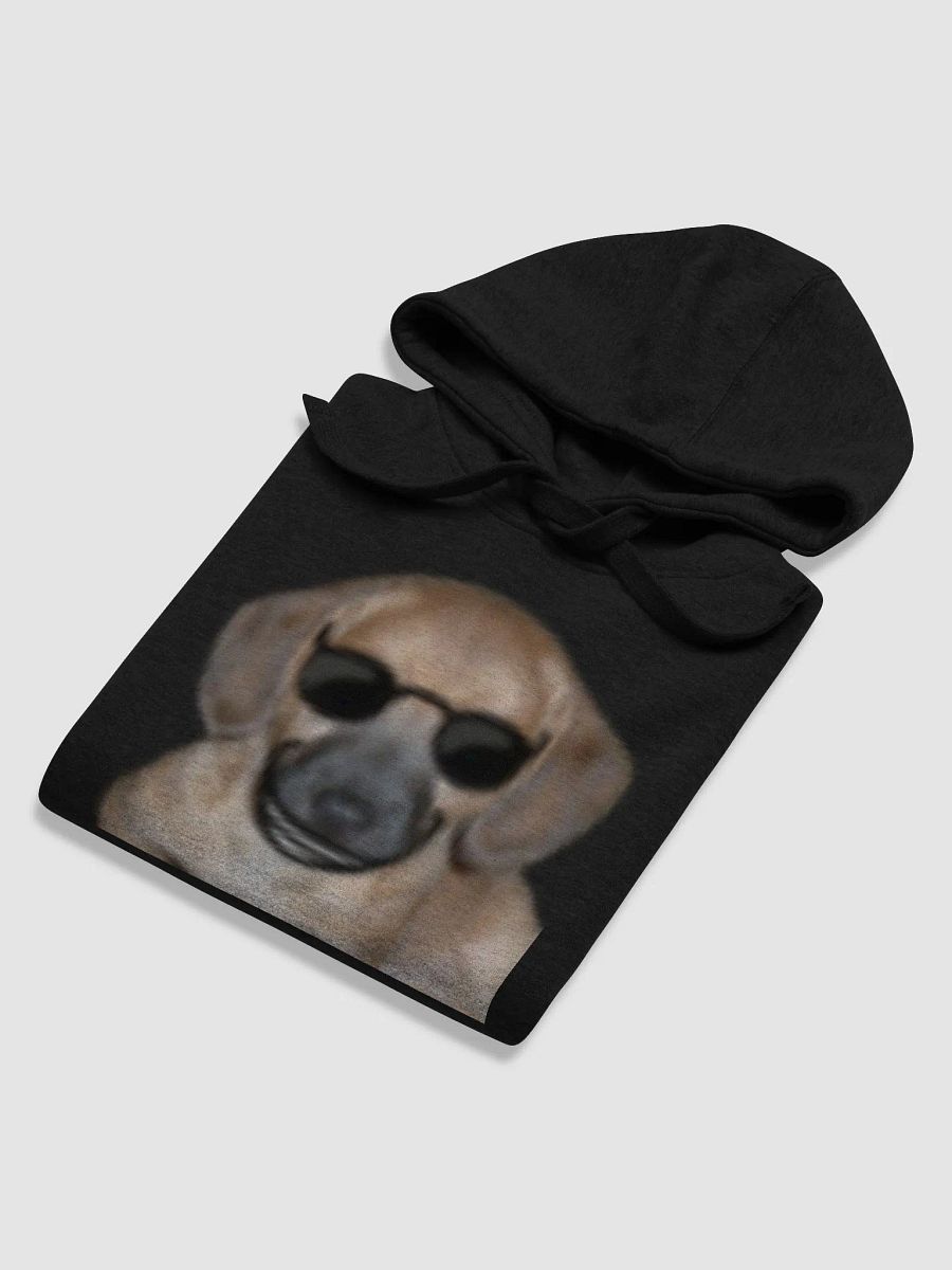 Rocky Swag Hoodie product image (6)