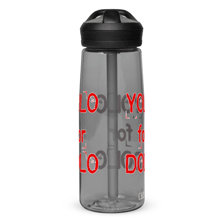 YOLO For DOLO - Camelbak Water Bottle product image (20)