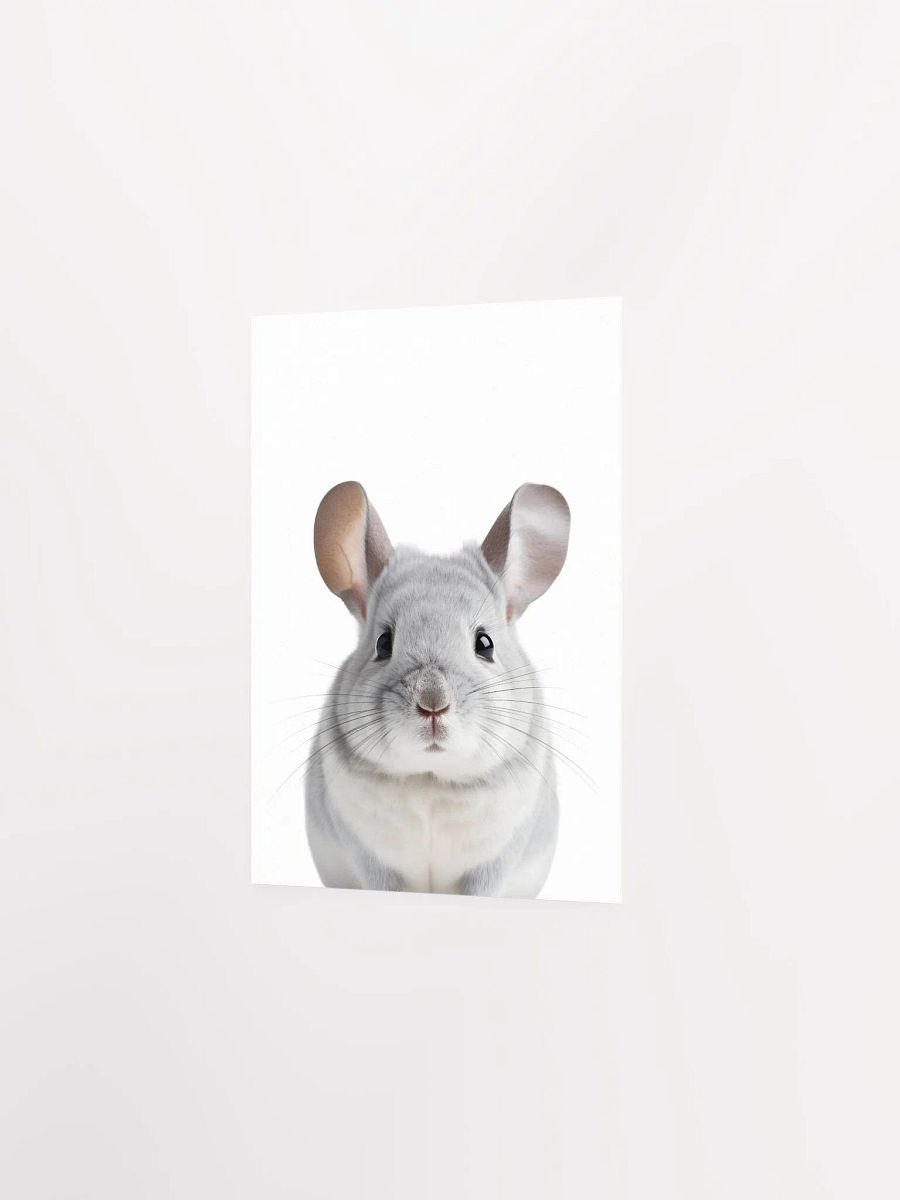 Cute Chinchilla Print product image (4)