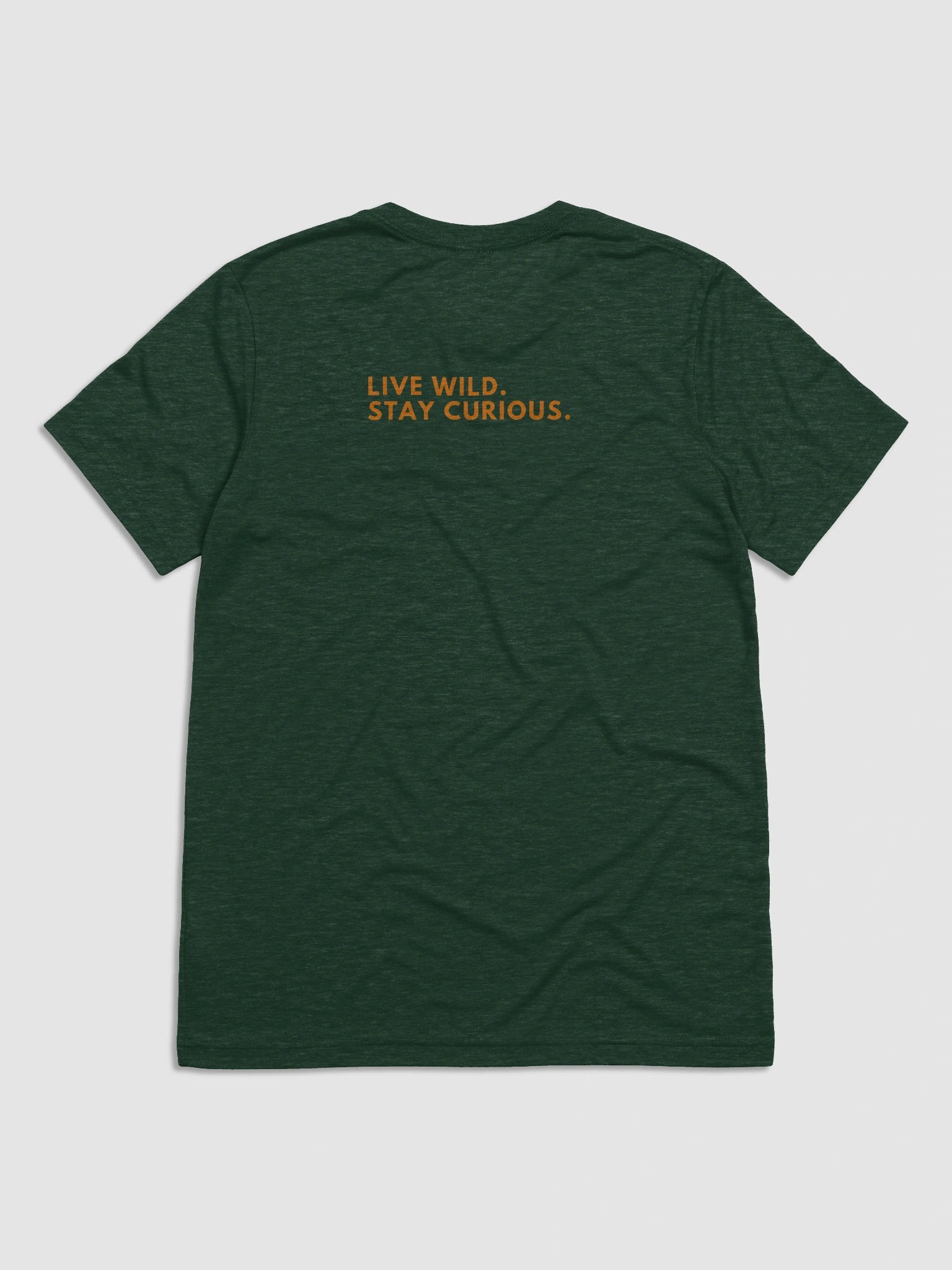 Tri-Blend Tee | Live Wild. Stay Curious. product image (2)