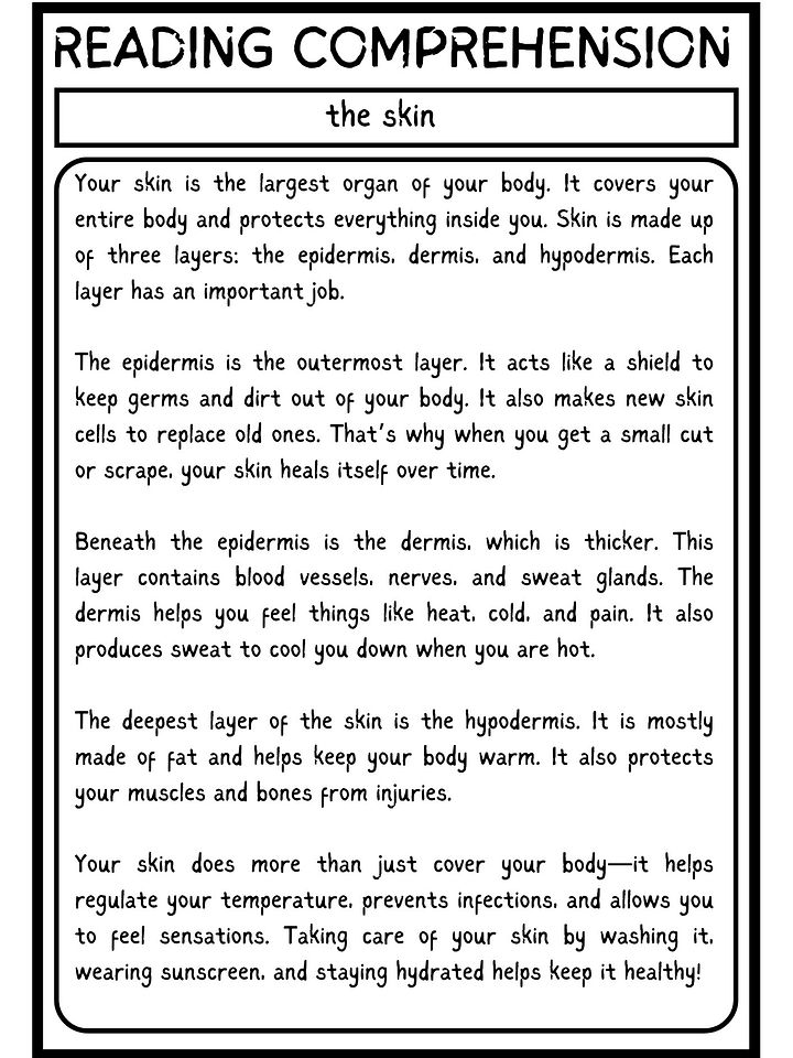 reading comprehension about the skin for grade 5 product image (2)