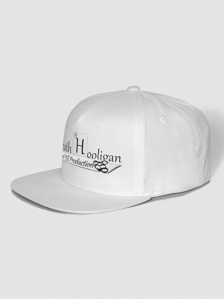 Truth Hooligan Snapback product image (2)