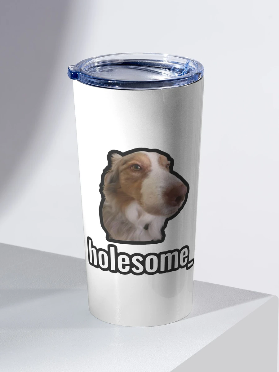 holesome Stainless Steel Tumbler (20oz) product image (2)