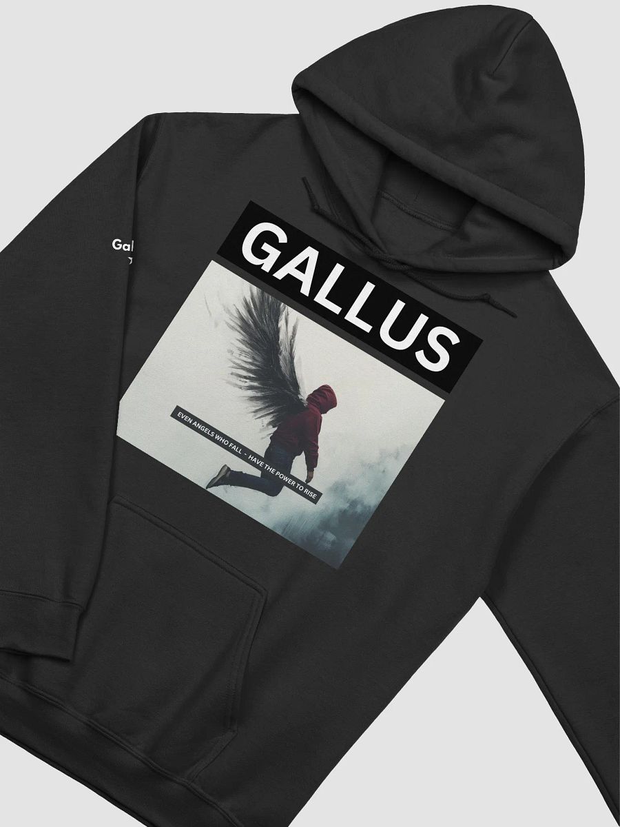 Gallus Hoodies product image (3)