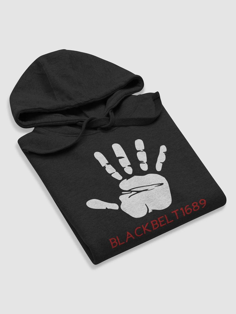 Blackbelt1689 Logo Hoodie product image (6)
