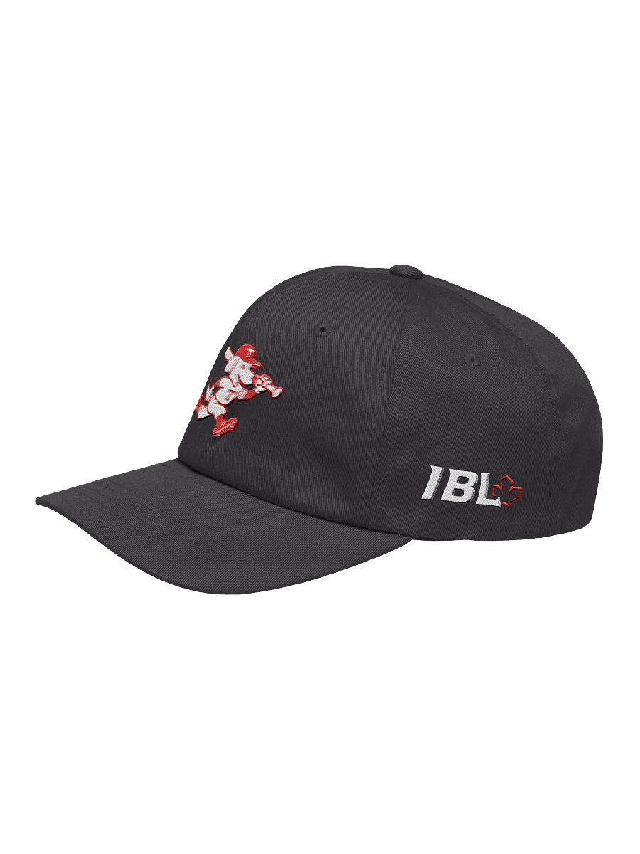 Cambridge Terriers Dad Hat product image (11)