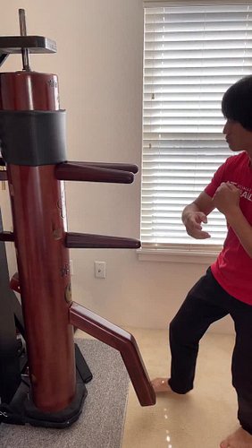 🎋 Wooden Dummy Drill: Train Gong Da, Pak Da, and Tan Da to defend and attack at the same time. Work on blocking the low strik...
