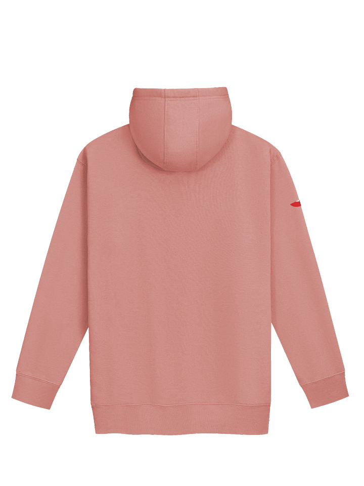 Apollo Lunar Hoodie - Black product image (4)