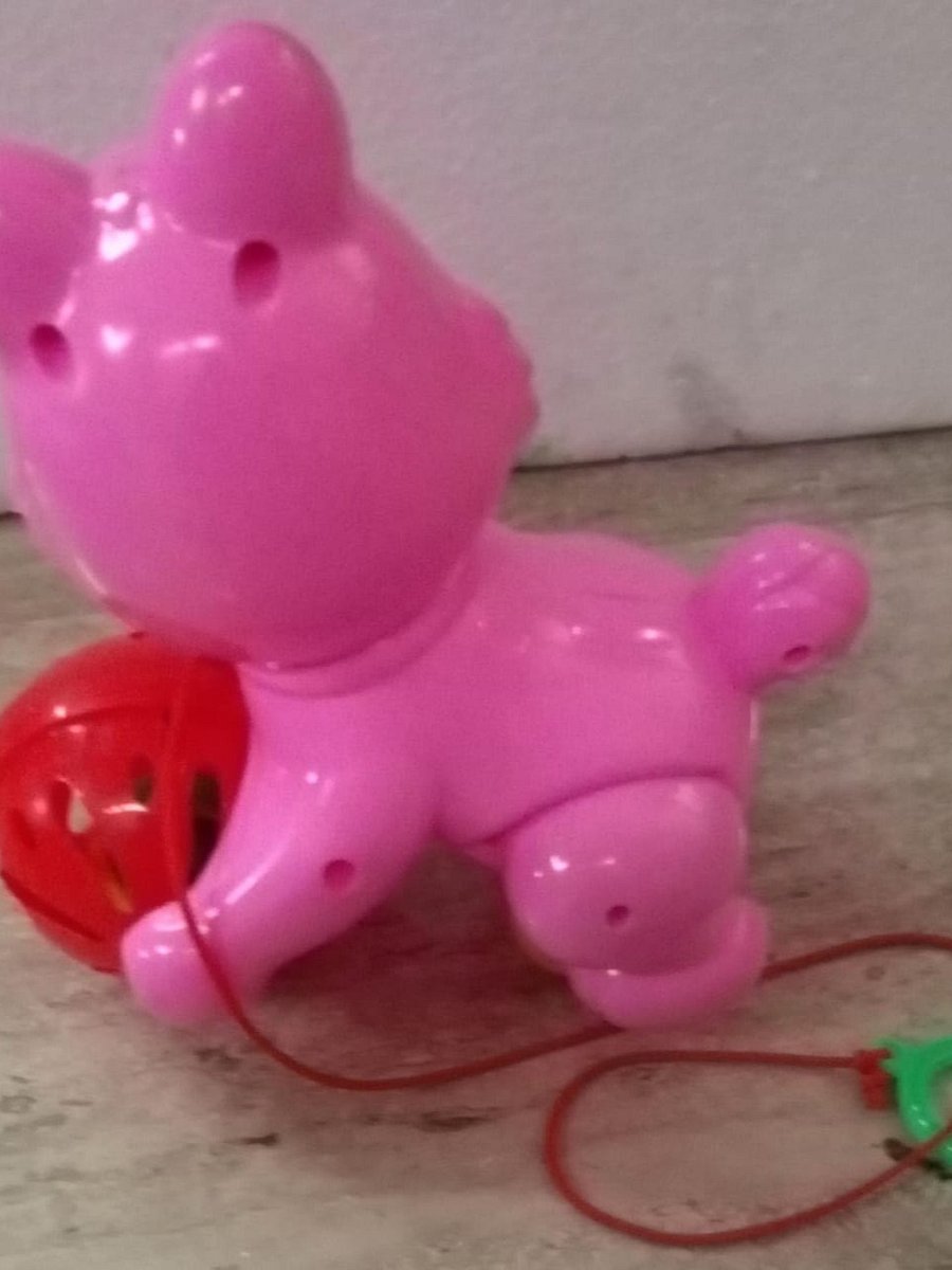 PULL ALONG TOY product image (4)