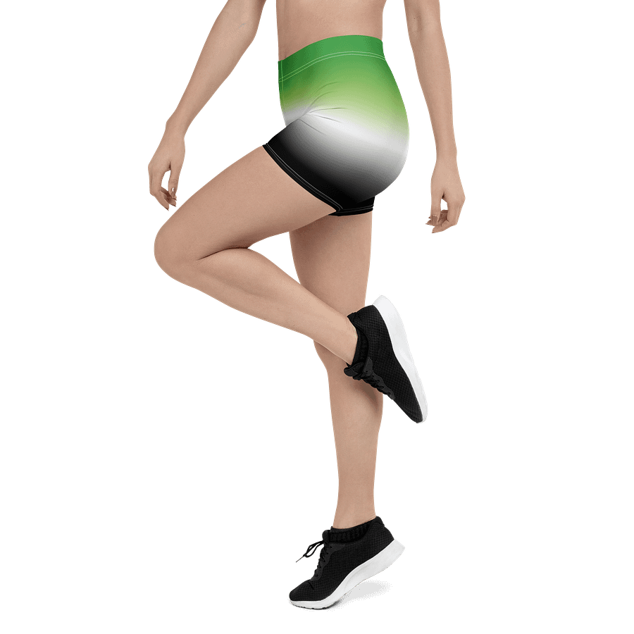 Aromantic Pride Gradient Bike Shorts product image (4)