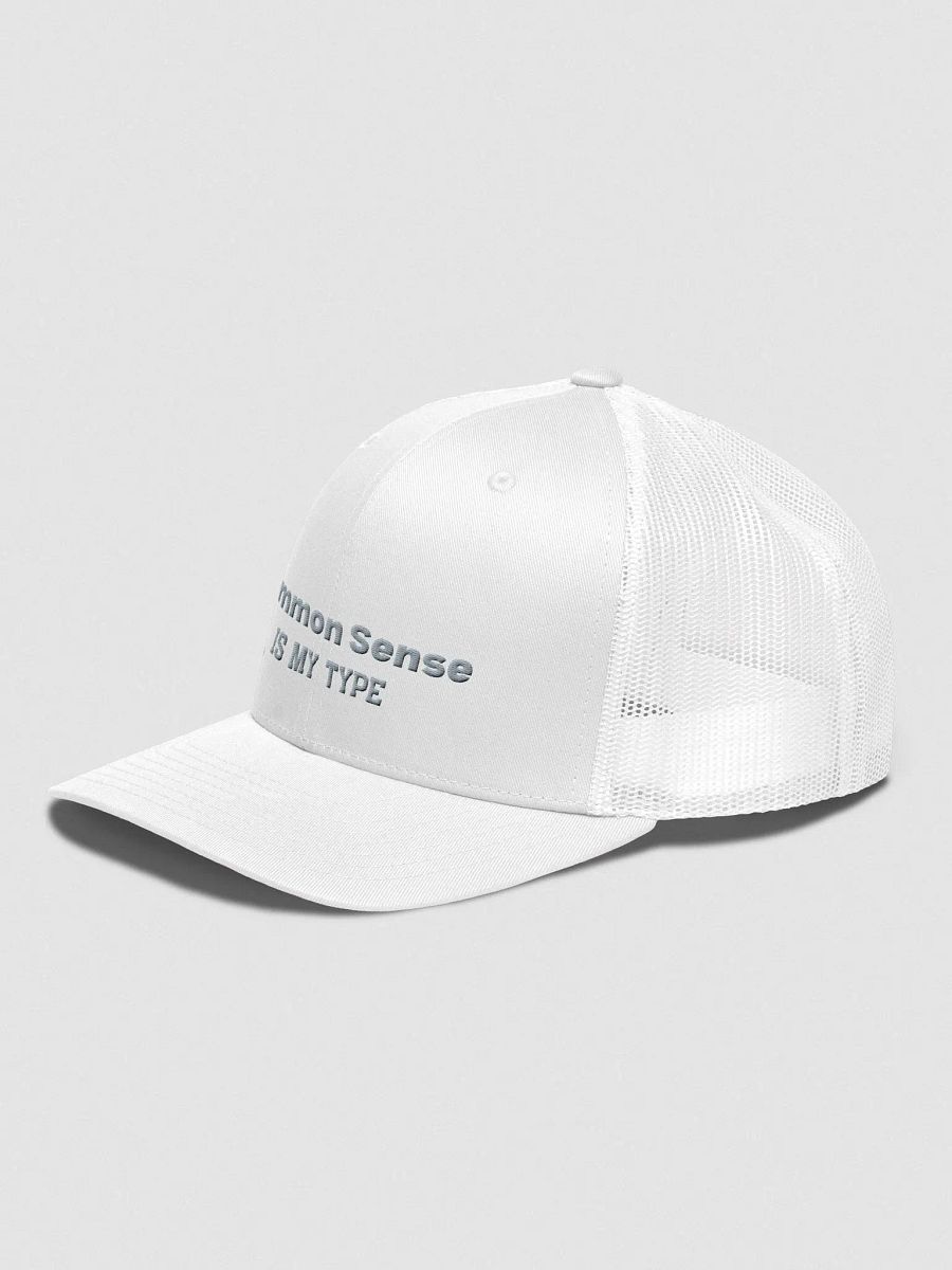 Common Sense IS MY TYPE Trucker Snapback product image (4)