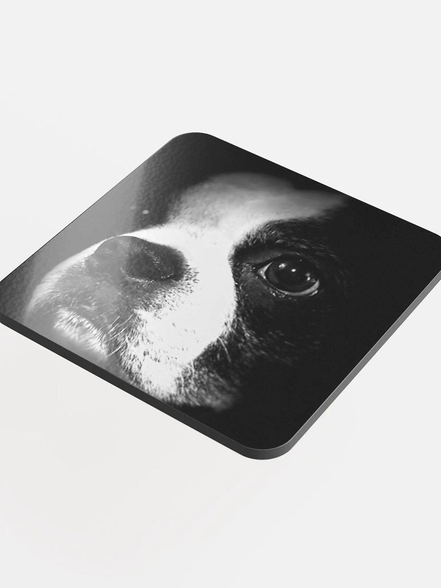HOOGANCOASTER product image (4)