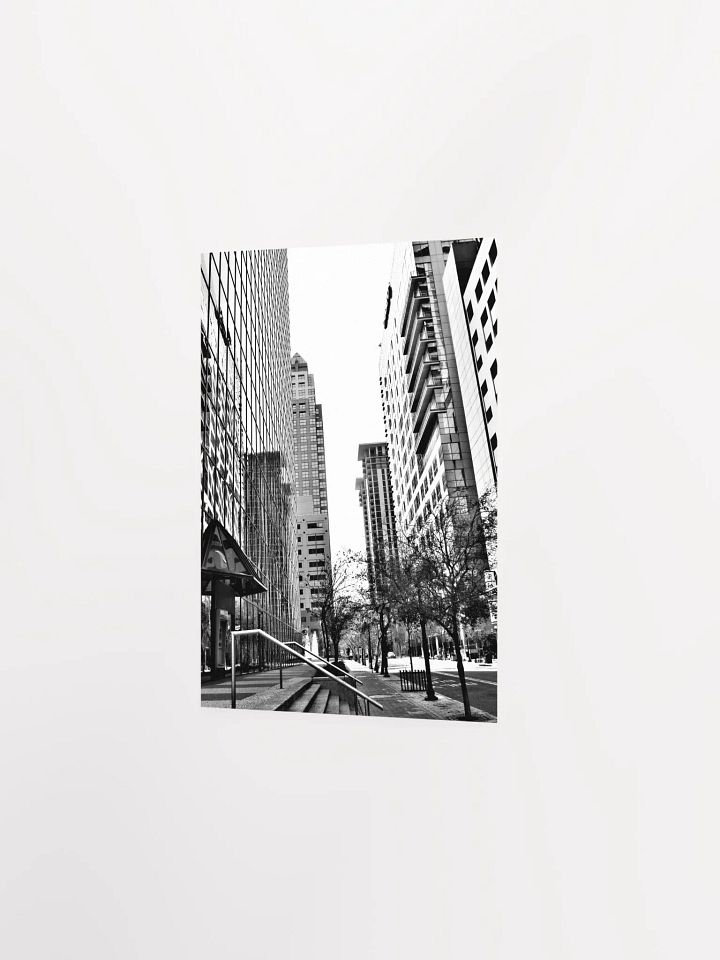 Downtown Orlando 2 product image (18)
