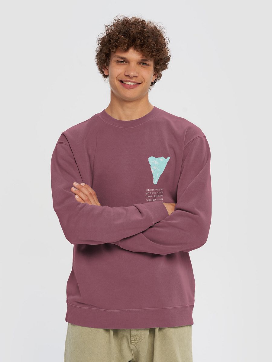 Show Em crewneck 2 product image (3)