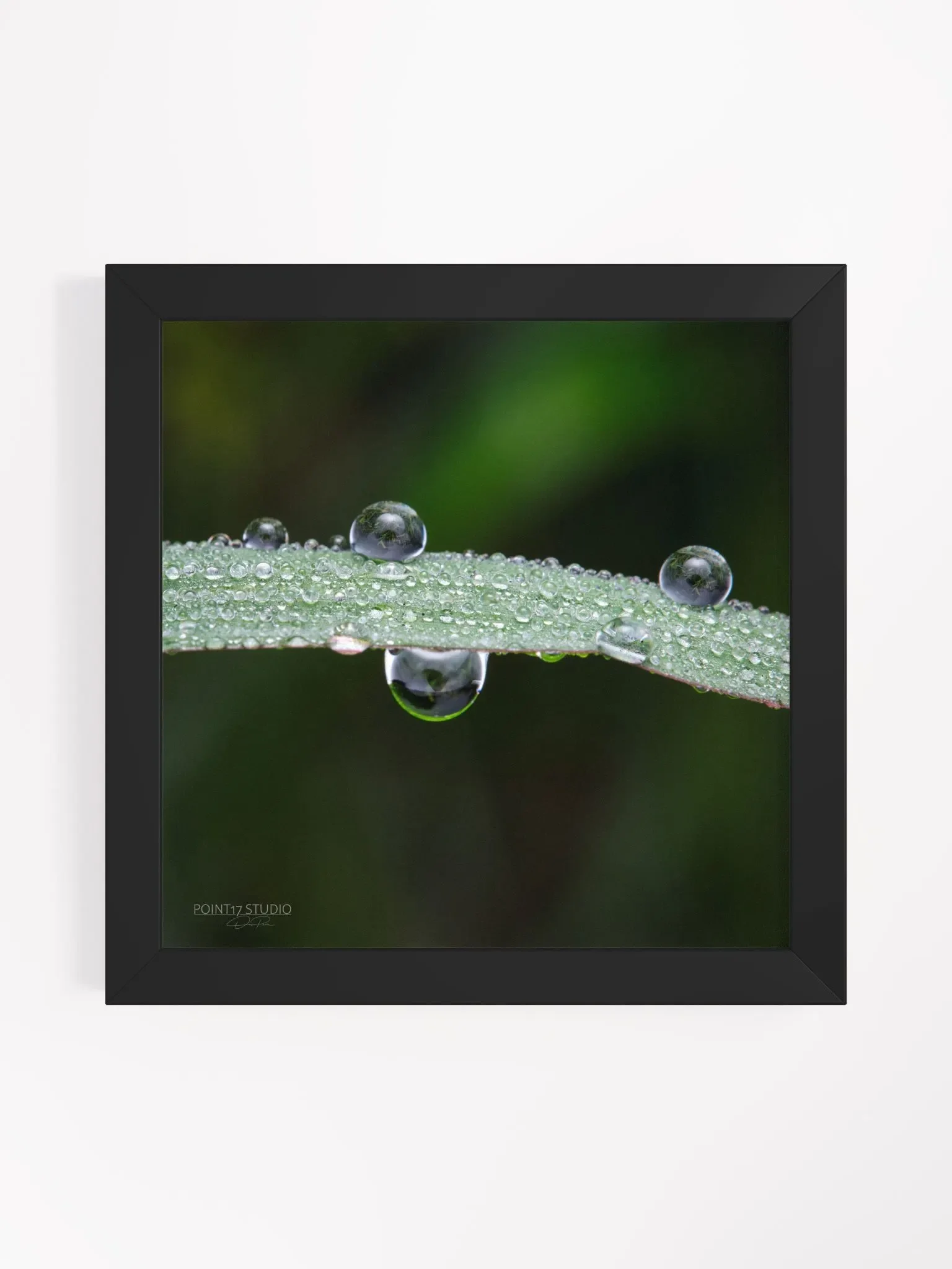 Dew Gems #7 - Framed Print product image (1)