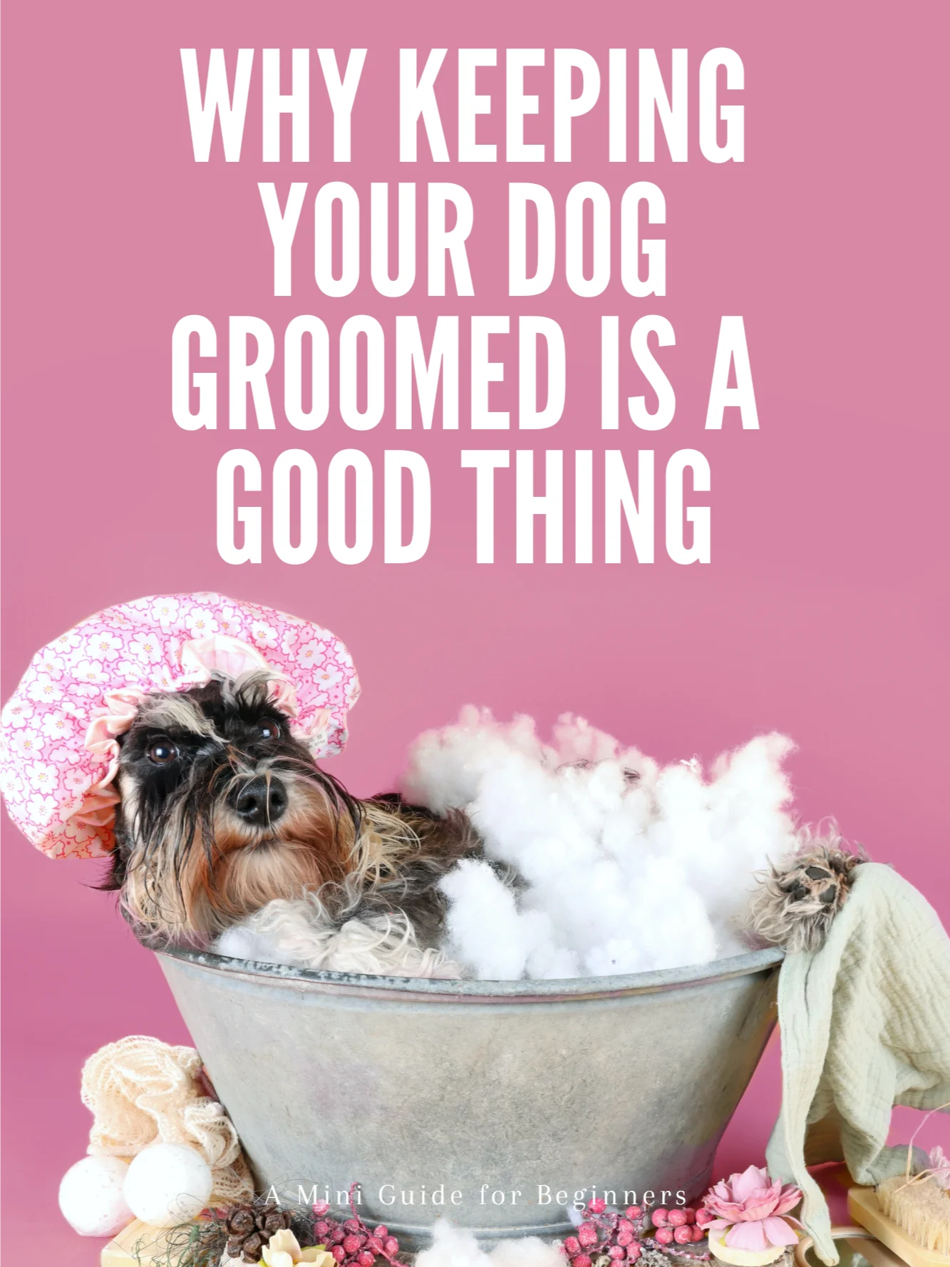 Why Keeping Your Dog Groomed is a Good Thing product image (1)