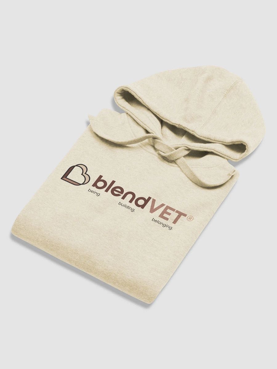 blendVET Logo Hoodie product image (6)