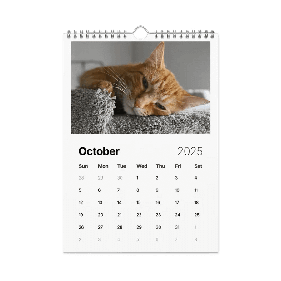 Noah and Friends 2025 Calendar product image (12)