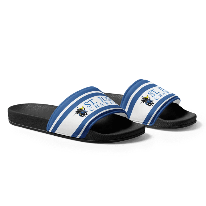STJ Slides product image (1)