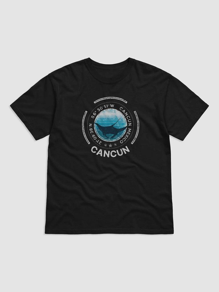 Cancun Manta Diving product image (9)