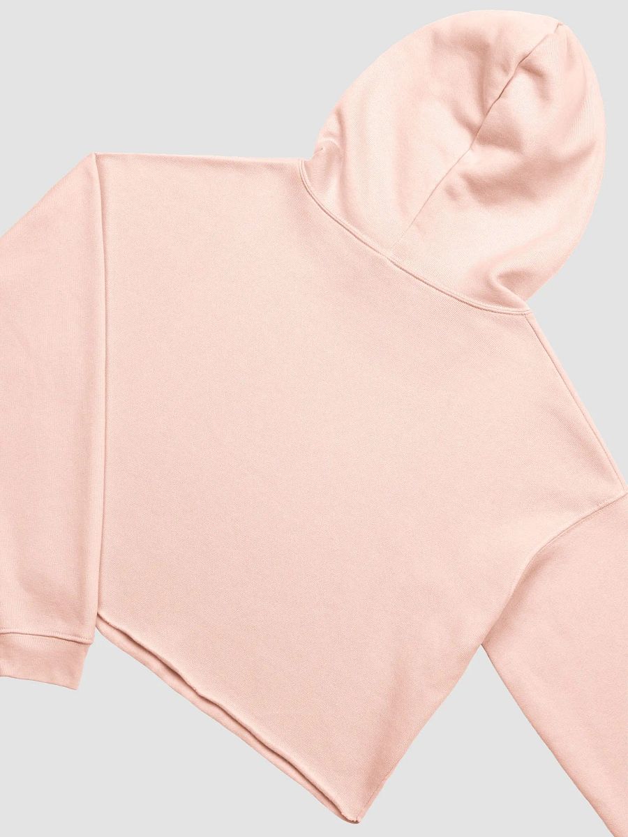 Righteous Bella Canvas Fleece Crop Hoodie product image (4)