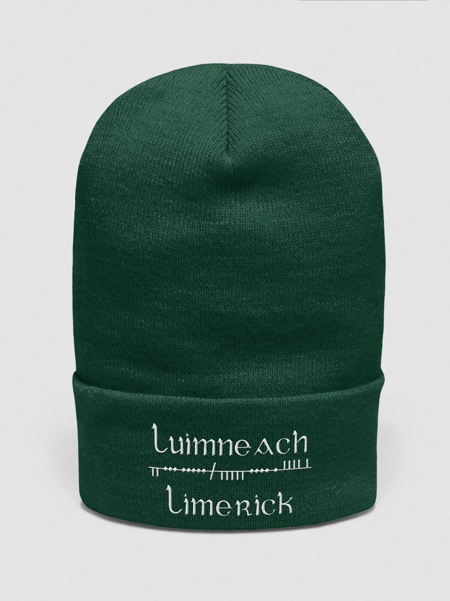 Limerick/Luimneach Scholastic style Ogham, green with white, embroidered Cuffed Beanie product image (1)