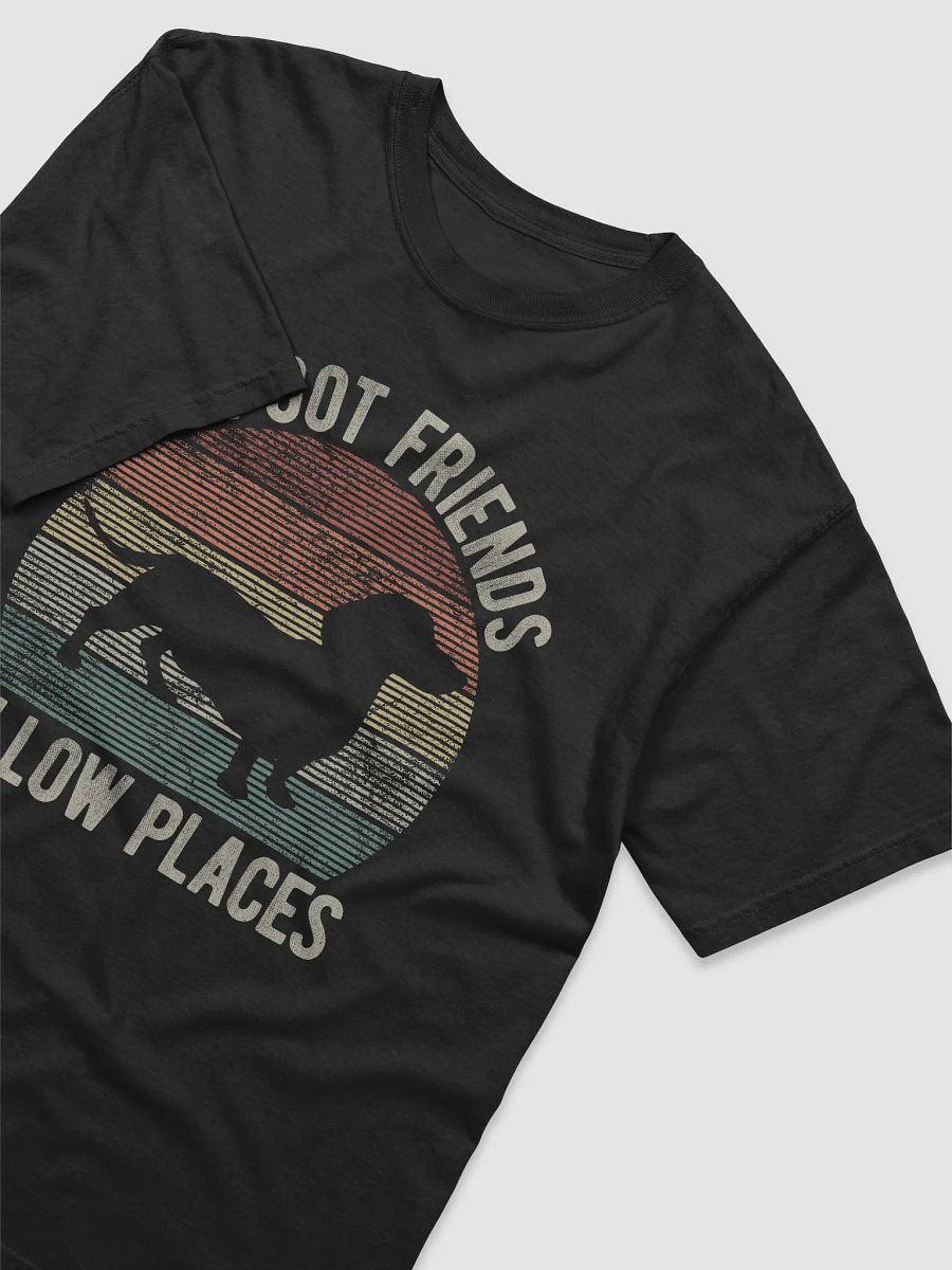 I've Got Friends in Low Places Dachshund T-Shirt | Funny Vintage-Style T-Shirt for Wiener Pawrents product image (3)